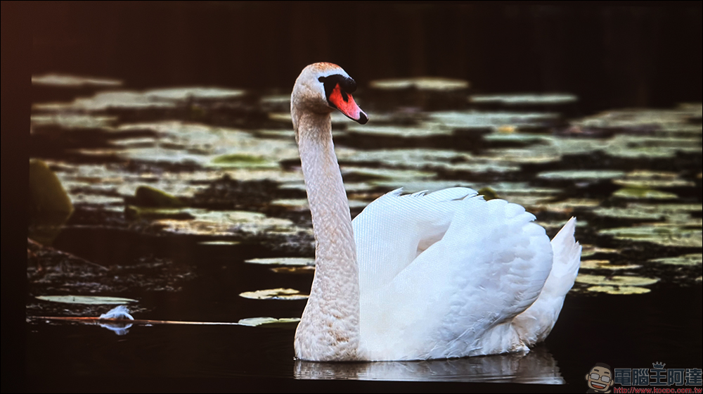 Warpple LA8 智慧投影機開箱:1200 ANSI 流明+短焦雲台+Google TV,在家打造高端輕劇院 - 電腦王阿達 Warpple LA8 智慧投影機開箱:1200 ANSI 流明+短焦雲台+Google TV,在家打造高端輕劇院 - 電腦王阿達