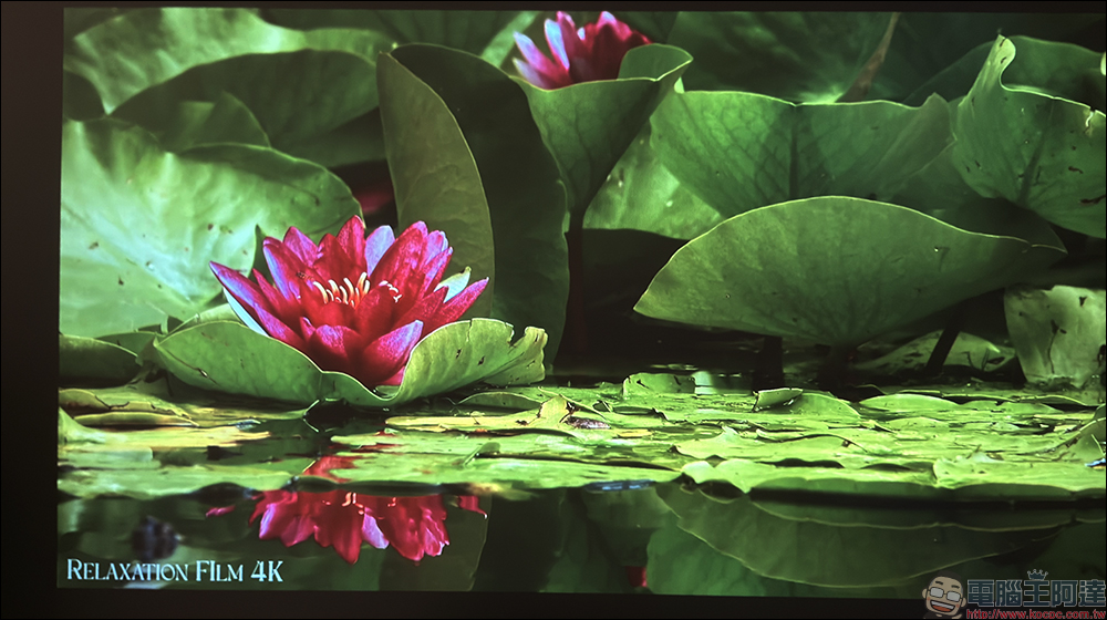 Warpple LA8 智慧投影機開箱:1200 ANSI 流明+短焦雲台+Google TV,在家打造高端輕劇院 - 電腦王阿達 Warpple LA8 智慧投影機開箱:1200 ANSI 流明+短焦雲台+Google TV,在家打造高端輕劇院 - 電腦王阿達