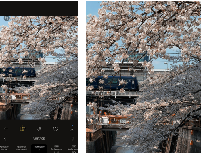 春節攝影達人秘笈!攝影師紀映光親授 iPhone 17 Pro Max 拍攝心法 - 電腦王阿達 春節攝影達人秘笈!攝影師紀映光親授 iPhone 17 Pro Max 拍攝心法 - 電腦王阿達