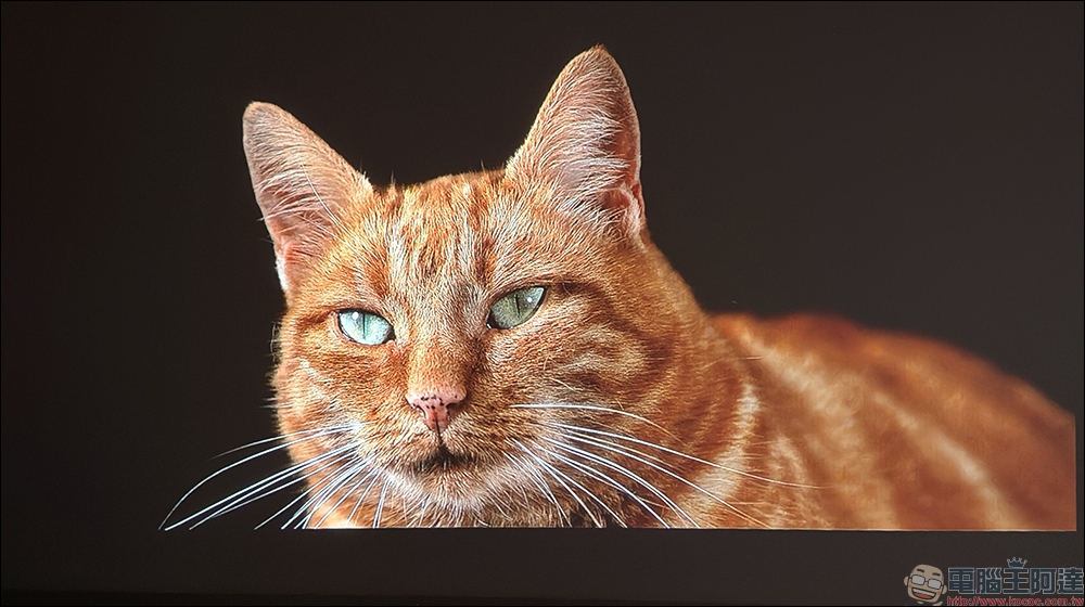 soundcore Nebula P1 投影機開箱|全球首創分離式喇叭,真正把行動電影院帶著走 - 電腦王阿達 soundcore Nebula P1 投影機開箱|全球首創分離式喇叭,真正把行動電影院帶著走 - 電腦王阿達