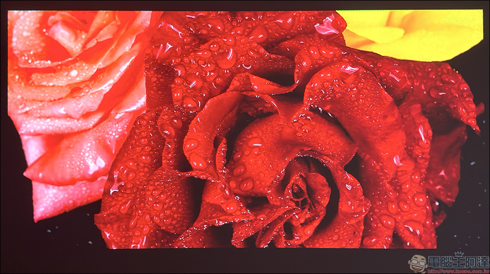 soundcore Nebula P1 投影機開箱|全球首創分離式喇叭,真正把行動電影院帶著走 - 電腦王阿達 soundcore Nebula P1 投影機開箱|全球首創分離式喇叭,真正把行動電影院帶著走 - 電腦王阿達