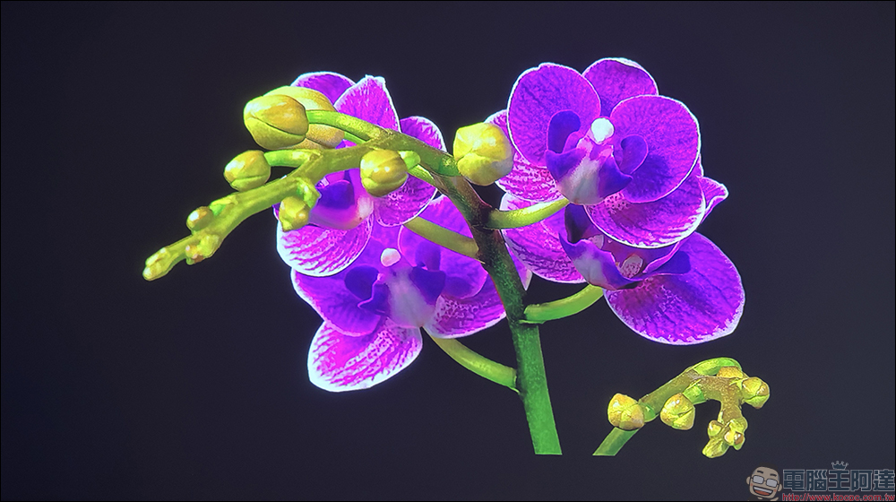 soundcore Nebula P1 投影機開箱|全球首創分離式喇叭,真正把行動電影院帶著走 - 電腦王阿達 soundcore Nebula P1 投影機開箱|全球首創分離式喇叭,真正把行動電影院帶著走 - 電腦王阿達