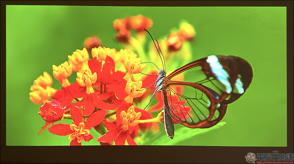 soundcore Nebula P1 投影機開箱|全球首創分離式喇叭,真正把行動電影院帶著走 - 電腦王阿達 soundcore Nebula P1 投影機開箱|全球首創分離式喇叭,真正把行動電影院帶著走 - 電腦王阿達