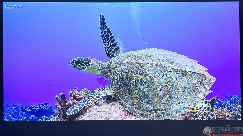 soundcore Nebula P1 投影機開箱|全球首創分離式喇叭,真正把行動電影院帶著走 - 電腦王阿達 soundcore Nebula P1 投影機開箱|全球首創分離式喇叭,真正把行動電影院帶著走 - 電腦王阿達