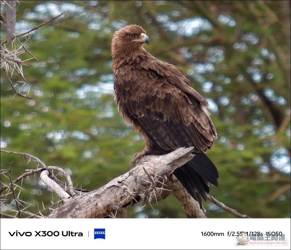 vivo 韓伯嘯公布兩款手機增距鏡 「大炮 400」與「口紅 200」拓展 X300 Ultra 遠攝能力 - 電腦王阿達