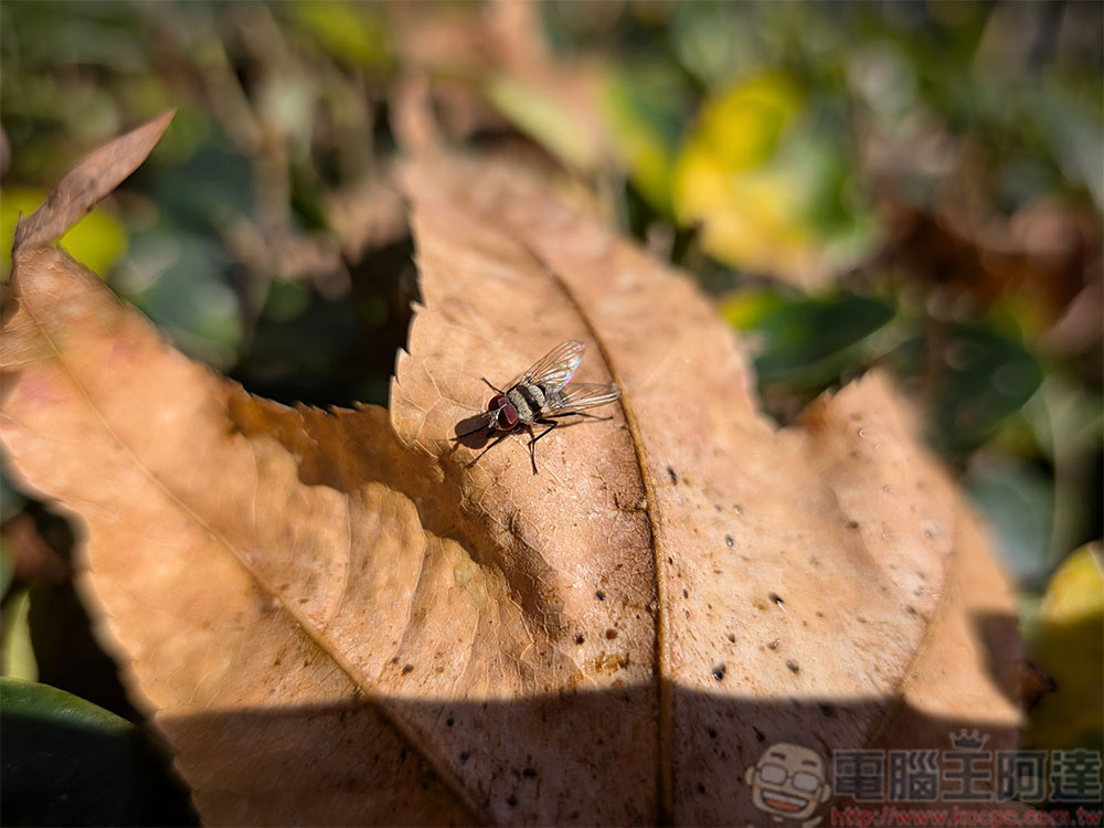 Google Pixel 10a 實測動手玩:預算有限也能擁有更好的使用體驗 - 電腦王阿達 Google Pixel 10a 實測動手玩:預算有限也能擁有更好的使用體驗 - 電腦王阿達