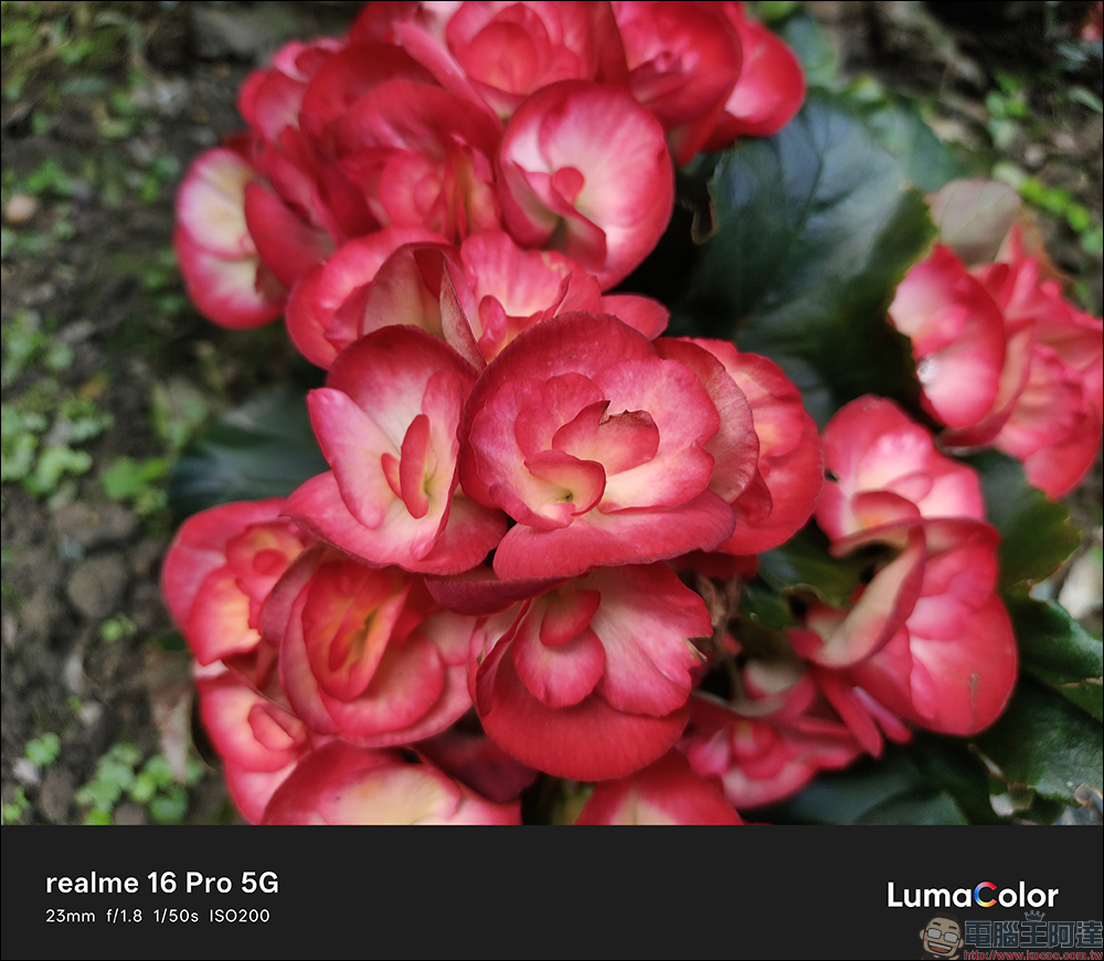 realme 16 Pro 開箱評測｜2億畫素全焦段人像超懂拍，7000mAh 超大電池玩一天還有一半電 - 電腦王阿達