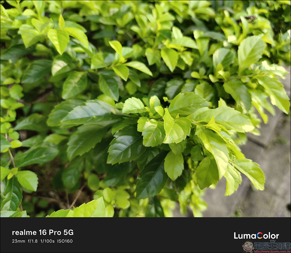 realme 16 Pro 開箱評測｜2億畫素全焦段人像超懂拍，7000mAh 超大電池玩一天還有一半電 - 電腦王阿達