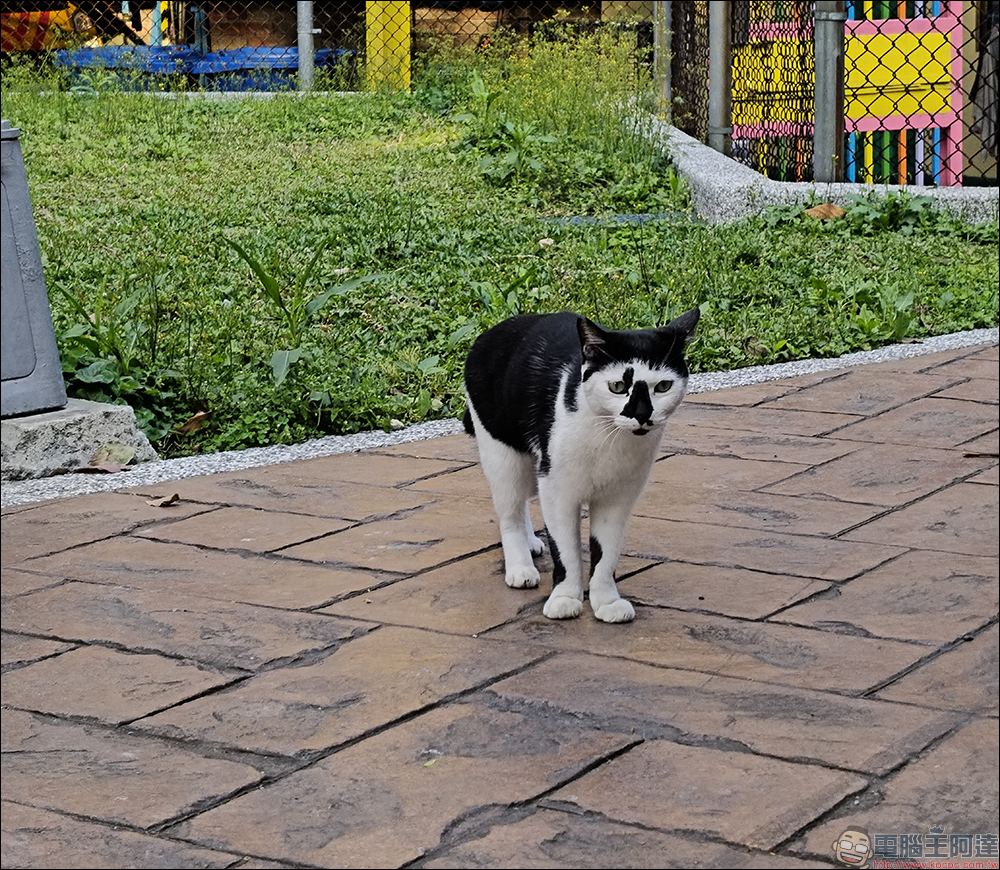 realme 16 Pro 開箱評測|2億畫素全焦段人像超懂拍,7000mAh 超大電池玩一天還有一半電 - 電腦王阿達 realme 16 Pro 開箱評測|2億畫素全焦段人像超懂拍,7000mAh 超大電池玩一天還有一半電 - 電腦王阿達