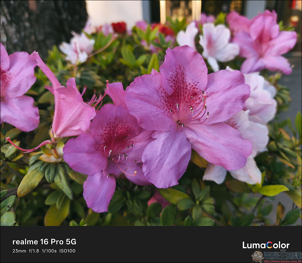 realme 16 Pro 開箱評測|2億畫素全焦段人像超懂拍,7000mAh 超大電池玩一天還有一半電 - 電腦王阿達 realme 16 Pro 開箱評測|2億畫素全焦段人像超懂拍,7000mAh 超大電池玩一天還有一半電 - 電腦王阿達