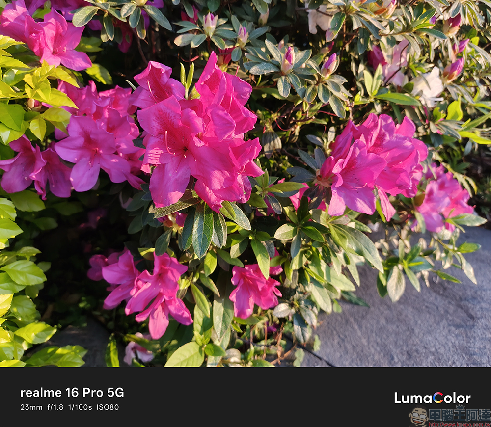 realme 16 Pro 開箱評測|2億畫素全焦段人像超懂拍,7000mAh 超大電池玩一天還有一半電 - 電腦王阿達 realme 16 Pro 開箱評測|2億畫素全焦段人像超懂拍,7000mAh 超大電池玩一天還有一半電 - 電腦王阿達