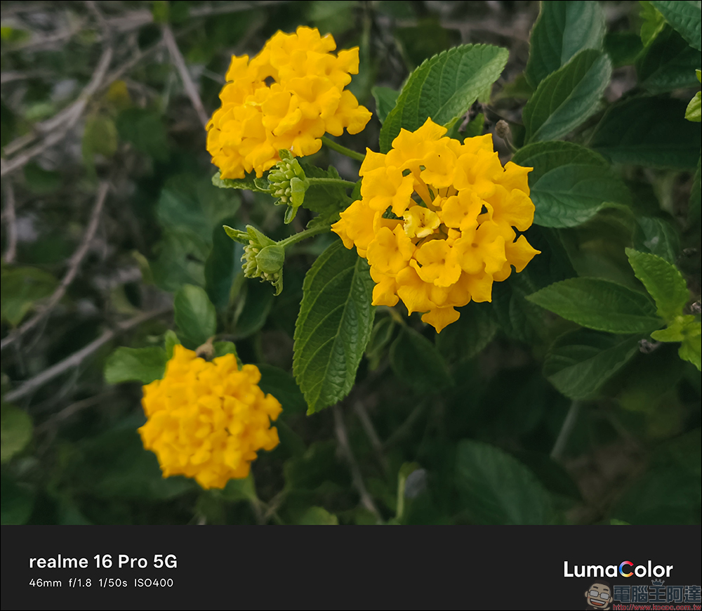 realme 16 Pro 開箱評測|2億畫素全焦段人像超懂拍,7000mAh 超大電池玩一天還有一半電 - 電腦王阿達 realme 16 Pro 開箱評測|2億畫素全焦段人像超懂拍,7000mAh 超大電池玩一天還有一半電 - 電腦王阿達