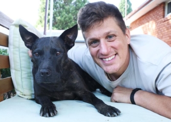 澳洲科技 CEO 用 ChatGPT 救活患癌狗狗！AlphaFold 設計 mRNA 疫苗讓腫瘤縮小 75%