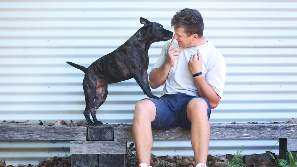 澳洲科技 CEO 用 ChatGPT 救活患癌狗狗!AlphaFold 設計 mRNA 疫苗讓腫瘤縮小 75% - 電腦王阿達 澳洲科技 CEO 用 ChatGPT 救活患癌狗狗!AlphaFold 設計 mRNA 疫苗讓腫瘤縮小 75% - 電腦王阿達