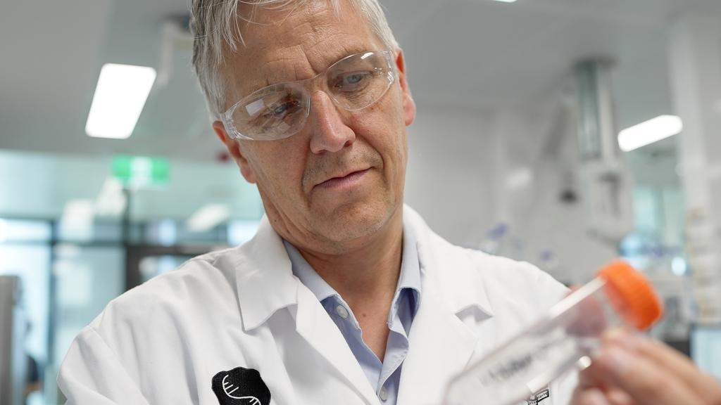 澳洲科技 CEO 用 ChatGPT 救活患癌狗狗!AlphaFold 設計 mRNA 疫苗讓腫瘤縮小 75% - 電腦王阿達 澳洲科技 CEO 用 ChatGPT 救活患癌狗狗!AlphaFold 設計 mRNA 疫苗讓腫瘤縮小 75% - 電腦王阿達