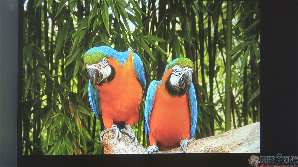 Bongcom BS5 足球君投影機開箱|足球造型超吸睛,150 吋追劇看球一次搞定! - 電腦王阿達 Bongcom BS5 足球君投影機開箱|足球造型超吸睛,150 吋追劇看球一次搞定! - 電腦王阿達