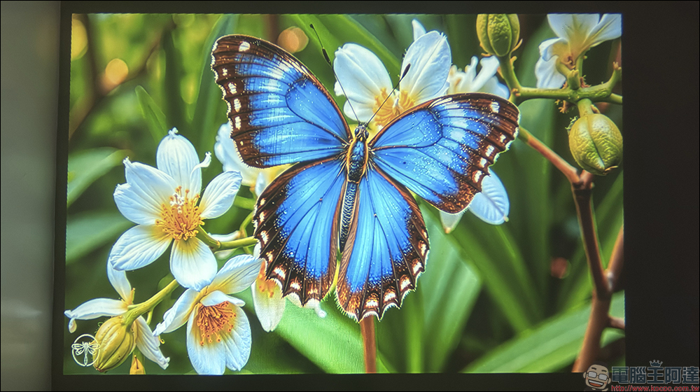 Bongcom BS5 足球君投影機開箱|足球造型超吸睛,150 吋追劇看球一次搞定! - 電腦王阿達 Bongcom BS5 足球君投影機開箱|足球造型超吸睛,150 吋追劇看球一次搞定! - 電腦王阿達