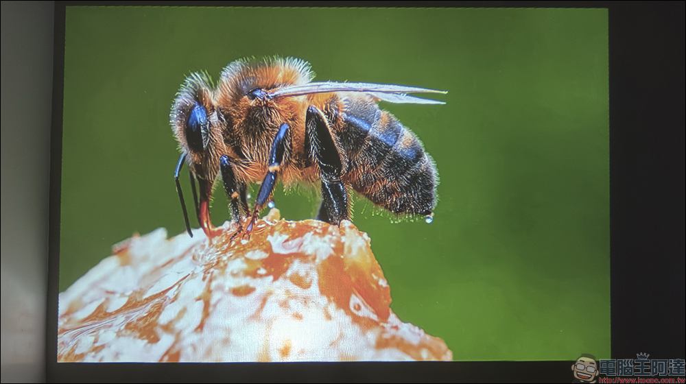 Bongcom BS5 足球君投影機開箱|足球造型超吸睛,150 吋追劇看球一次搞定! - 電腦王阿達 Bongcom BS5 足球君投影機開箱|足球造型超吸睛,150 吋追劇看球一次搞定! - 電腦王阿達