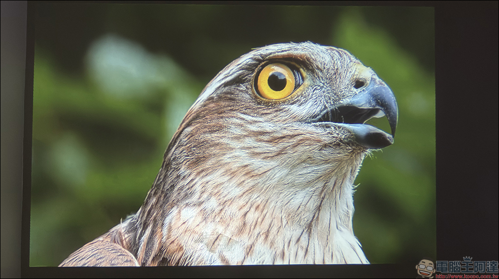 Bongcom BS5 足球君投影機開箱|足球造型超吸睛,150 吋追劇看球一次搞定! - 電腦王阿達 Bongcom BS5 足球君投影機開箱|足球造型超吸睛,150 吋追劇看球一次搞定! - 電腦王阿達