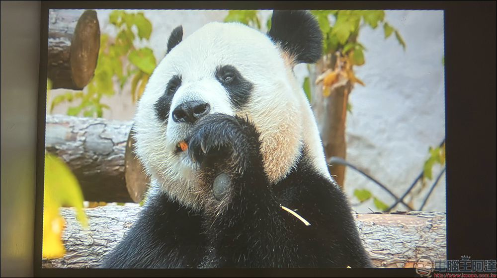 Bongcom BS5 足球君投影機開箱|足球造型超吸睛,150 吋追劇看球一次搞定! - 電腦王阿達 Bongcom BS5 足球君投影機開箱|足球造型超吸睛,150 吋追劇看球一次搞定! - 電腦王阿達