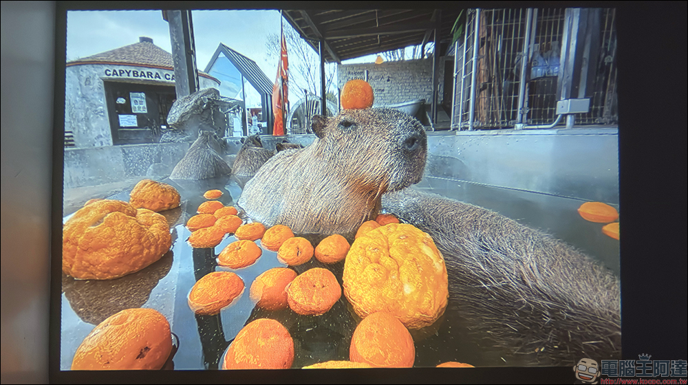 Bongcom BS5 足球君投影機開箱|足球造型超吸睛,150 吋追劇看球一次搞定! - 電腦王阿達 Bongcom BS5 足球君投影機開箱|足球造型超吸睛,150 吋追劇看球一次搞定! - 電腦王阿達