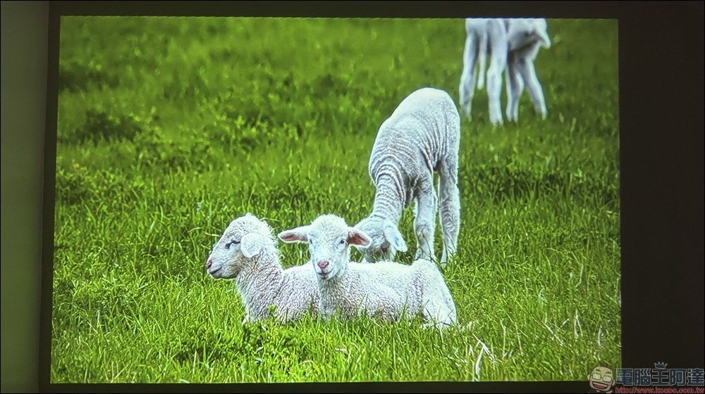 Bongcom BS5 足球君投影機開箱|足球造型超吸睛,150 吋追劇看球一次搞定! - 電腦王阿達 Bongcom BS5 足球君投影機開箱|足球造型超吸睛,150 吋追劇看球一次搞定! - 電腦王阿達