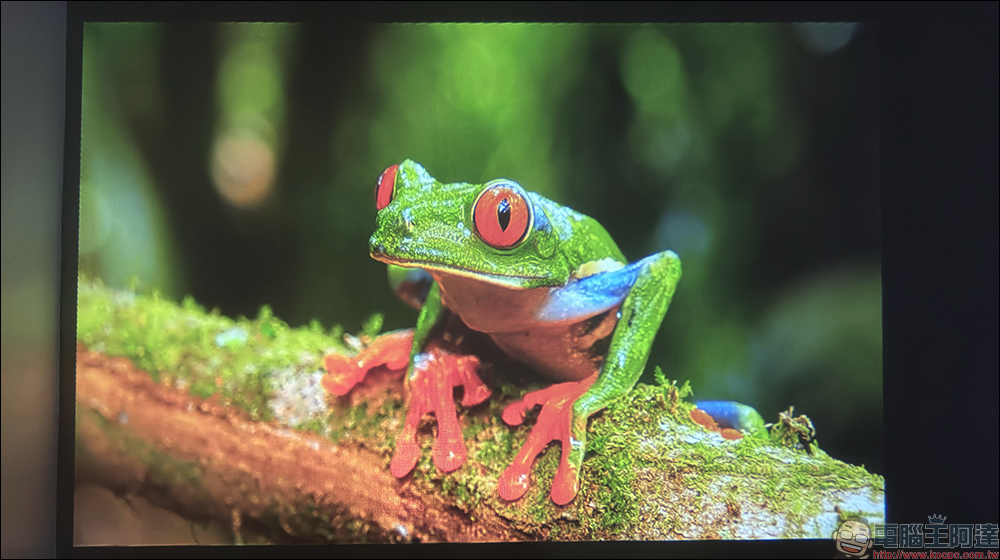 Bongcom BS5 足球君投影機開箱|足球造型超吸睛,150 吋追劇看球一次搞定! - 電腦王阿達 Bongcom BS5 足球君投影機開箱|足球造型超吸睛,150 吋追劇看球一次搞定! - 電腦王阿達