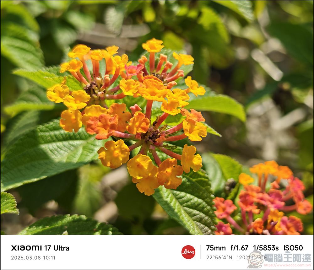 小米 Xiaomi 17 Ultra 開箱實測:2 億畫素連續光學變焦、Snapdragon 8 Elite Gen 5 性能怪獸與星空綠美學 - 電腦王阿達 小米 Xiaomi 17 Ultra 開箱實測:2 億畫素連續光學變焦、Snapdragon 8 Elite Gen 5 性能怪獸與星空綠美學 - 電腦王阿達