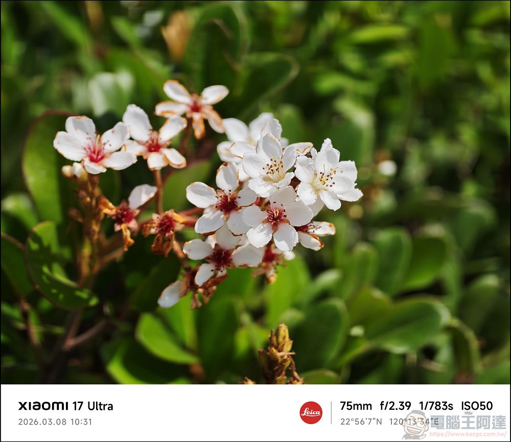 小米 Xiaomi 17 Ultra 開箱實測:2 億畫素連續光學變焦、Snapdragon 8 Elite Gen 5 性能怪獸與星空綠美學 - 電腦王阿達 小米 Xiaomi 17 Ultra 開箱實測:2 億畫素連續光學變焦、Snapdragon 8 Elite Gen 5 性能怪獸與星空綠美學 - 電腦王阿達