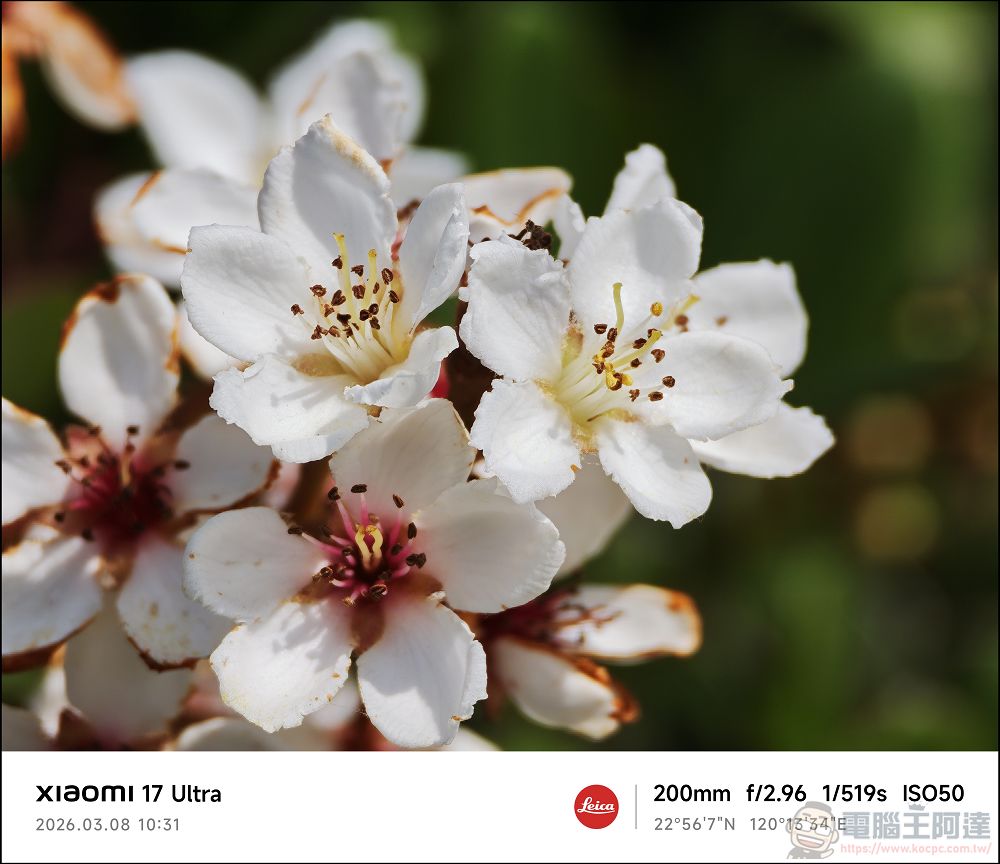 小米 Xiaomi 17 Ultra 開箱實測:2 億畫素連續光學變焦、Snapdragon 8 Elite Gen 5 性能怪獸與星空綠美學 - 電腦王阿達 小米 Xiaomi 17 Ultra 開箱實測:2 億畫素連續光學變焦、Snapdragon 8 Elite Gen 5 性能怪獸與星空綠美學 - 電腦王阿達