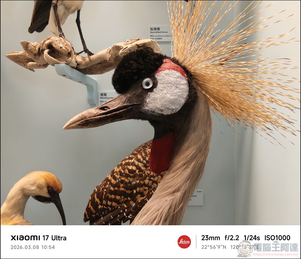 小米 Xiaomi 17 Ultra 開箱實測:2 億畫素連續光學變焦、Snapdragon 8 Elite Gen 5 性能怪獸與星空綠美學 - 電腦王阿達 小米 Xiaomi 17 Ultra 開箱實測:2 億畫素連續光學變焦、Snapdragon 8 Elite Gen 5 性能怪獸與星空綠美學 - 電腦王阿達