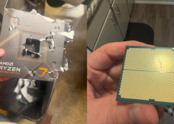 狗狗開箱太狂直接啃爆 AMD Ryzen 7 7700X 飼主心痛近 8 千元飛了