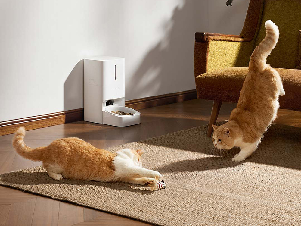 小米米家智慧寵物餵食器 2 視覺版推出,不只自動餵食還能監控,毛小孩吃播隨時看 - 電腦王阿達 小米米家智慧寵物餵食器 2 視覺版推出,不只自動餵食還能監控,毛小孩吃播隨時看 - 電腦王阿達