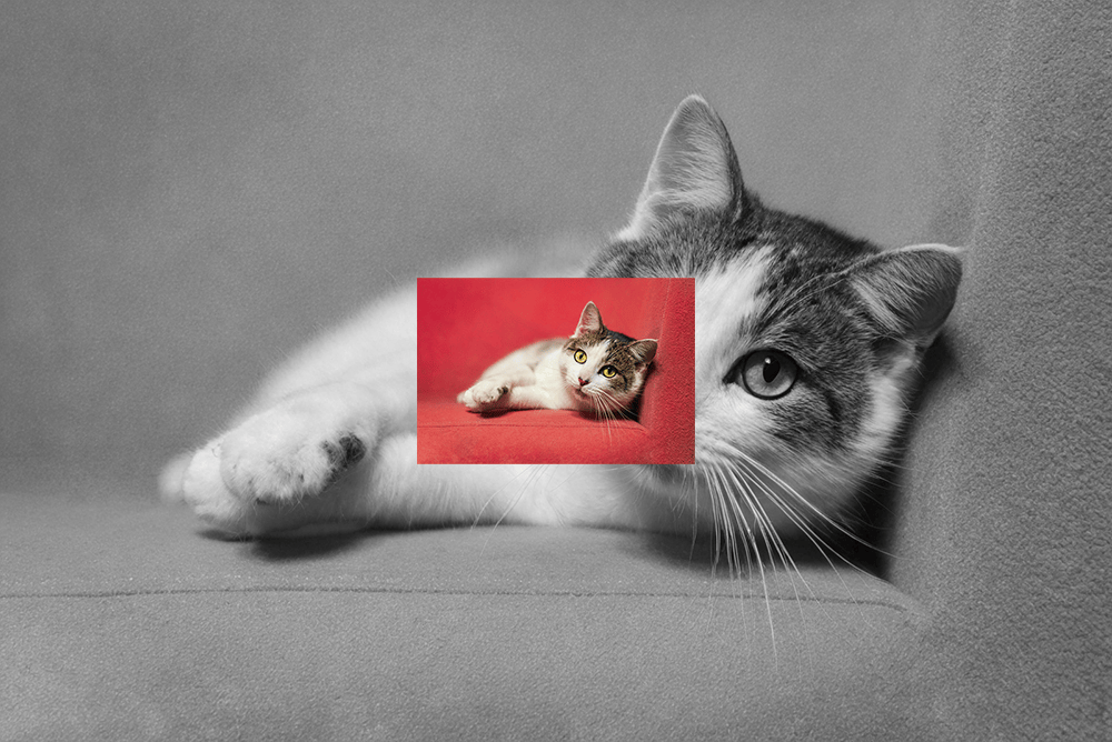 免費 AI 圖片放大工具 Image Upscaling,一鍵提升圖片最高 4 倍清晰不失真 - 電腦王阿達 免費 AI 圖片放大工具 Image Upscaling,一鍵提升圖片最高 4 倍清晰不失真 - 電腦王阿達