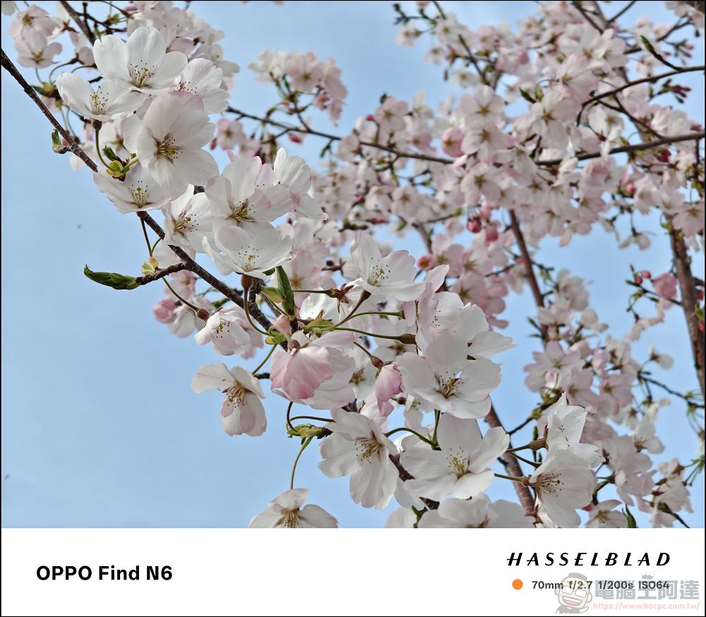 折疊機的摺痕時代終結!OPPO Find N6 開箱:零感摺痕 + 2 億畫素哈蘇鏡頭 + 6000mAh 超大電池! - 電腦王阿達 折疊機的摺痕時代終結!OPPO Find N6 開箱:零感摺痕 + 2 億畫素哈蘇鏡頭 + 6000mAh 超大電池! - 電腦王阿達