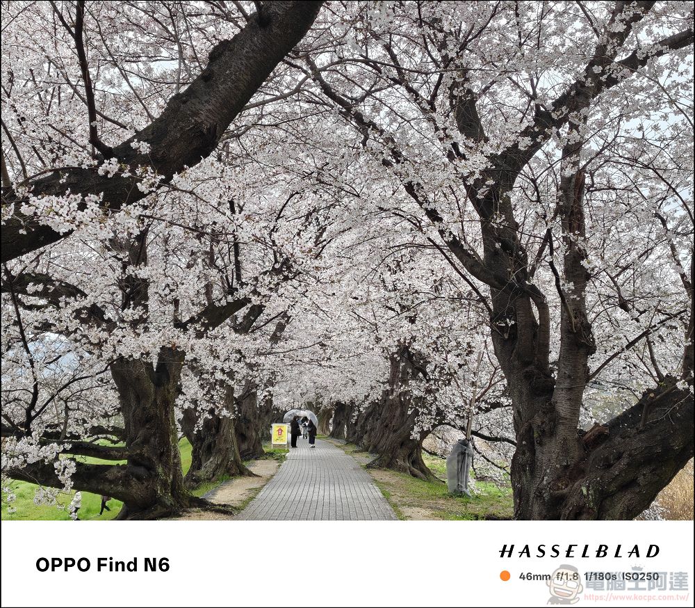 折疊機的摺痕時代終結!OPPO Find N6 開箱:零感摺痕 + 2 億畫素哈蘇鏡頭 + 6000mAh 超大電池! - 電腦王阿達 折疊機的摺痕時代終結!OPPO Find N6 開箱:零感摺痕 + 2 億畫素哈蘇鏡頭 + 6000mAh 超大電池! - 電腦王阿達