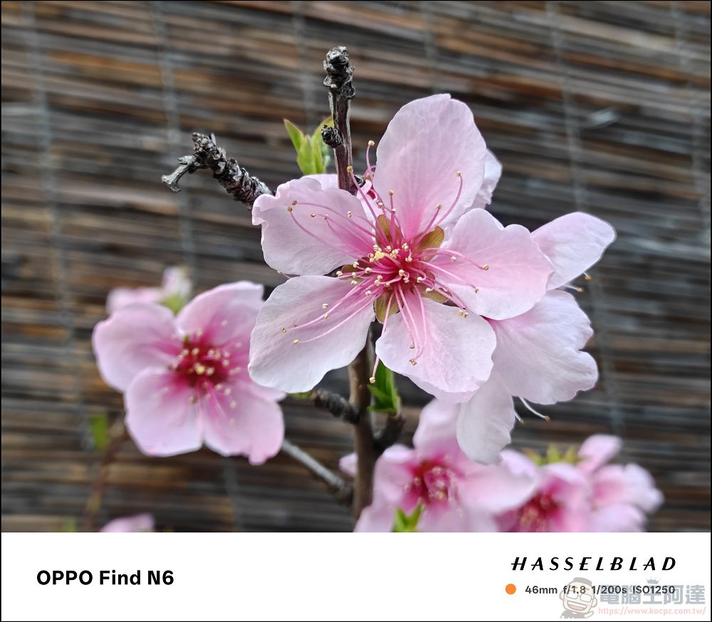 折疊機的摺痕時代終結!OPPO Find N6 開箱:零感摺痕 + 2 億畫素哈蘇鏡頭 + 6000mAh 超大電池! - 電腦王阿達 折疊機的摺痕時代終結!OPPO Find N6 開箱:零感摺痕 + 2 億畫素哈蘇鏡頭 + 6000mAh 超大電池! - 電腦王阿達