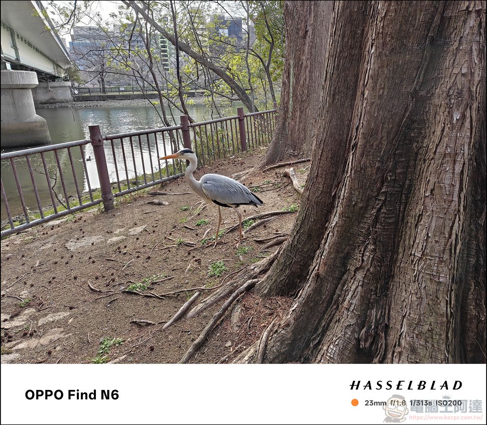 折疊機的摺痕時代終結!OPPO Find N6 開箱:零感摺痕 + 2 億畫素哈蘇鏡頭 + 6000mAh 超大電池! - 電腦王阿達 折疊機的摺痕時代終結!OPPO Find N6 開箱:零感摺痕 + 2 億畫素哈蘇鏡頭 + 6000mAh 超大電池! - 電腦王阿達