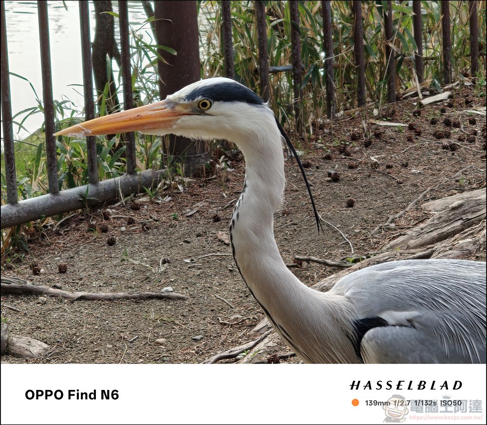 折疊機的摺痕時代終結!OPPO Find N6 開箱:零感摺痕 + 2 億畫素哈蘇鏡頭 + 6000mAh 超大電池! - 電腦王阿達 折疊機的摺痕時代終結!OPPO Find N6 開箱:零感摺痕 + 2 億畫素哈蘇鏡頭 + 6000mAh 超大電池! - 電腦王阿達