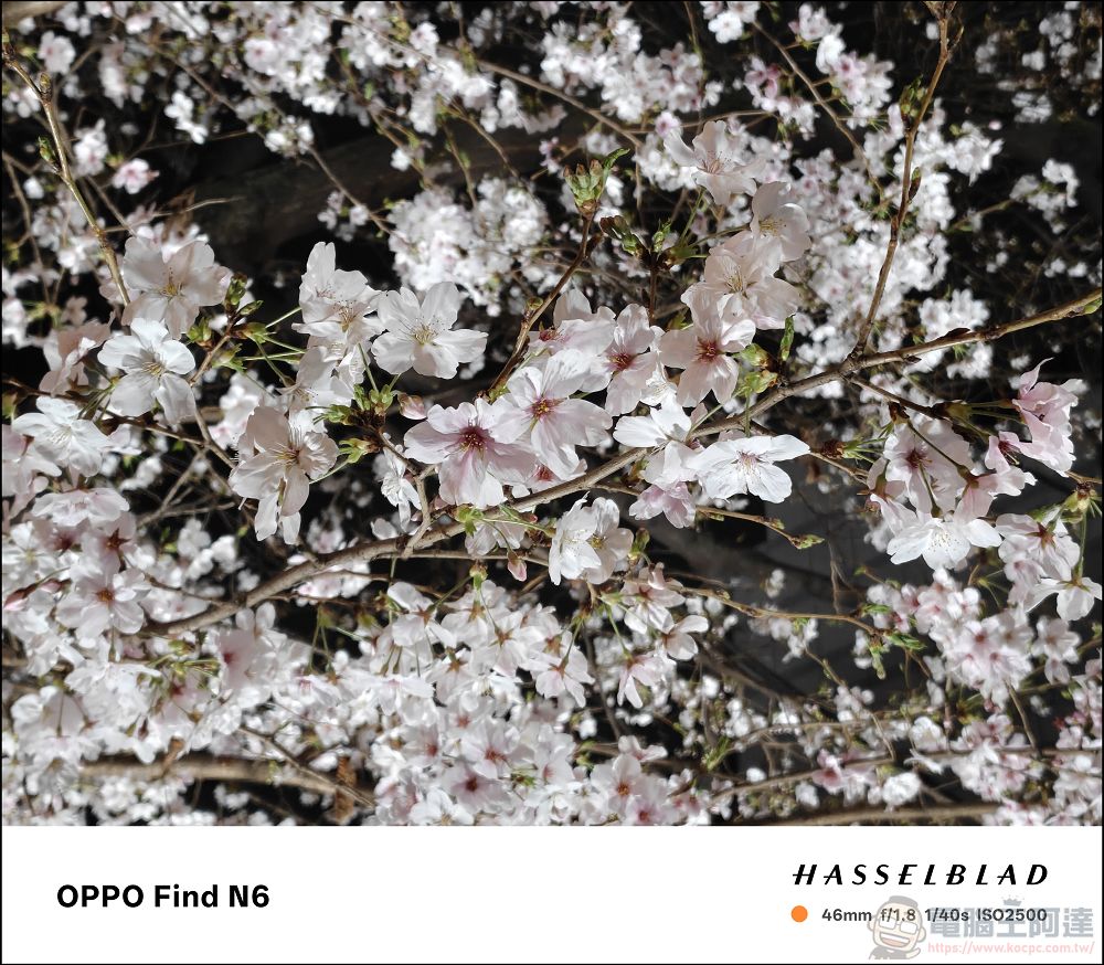 折疊機的摺痕時代終結!OPPO Find N6 開箱:零感摺痕 + 2 億畫素哈蘇鏡頭 + 6000mAh 超大電池! - 電腦王阿達 折疊機的摺痕時代終結!OPPO Find N6 開箱:零感摺痕 + 2 億畫素哈蘇鏡頭 + 6000mAh 超大電池! - 電腦王阿達