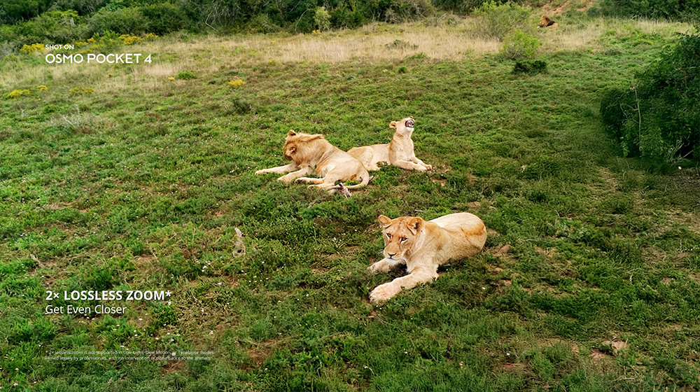 DJI Osmo Pocket 4 正式發表, Vlog 口袋相機再進化!智慧跟隨 7.0、夜拍更強、收音更猛 - 電腦王阿達 DJI Osmo Pocket 4 正式發表, Vlog 口袋相機再進化!智慧跟隨 7.0、夜拍更強、收音更猛 - 電腦王阿達