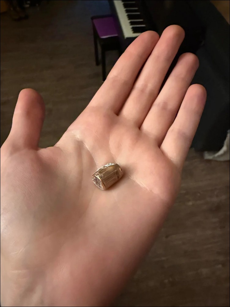AI都不敢這樣寫!美國網友睡夢中遭鄰居的狗開槍,子彈竟被記憶體檔下 - 電腦王阿達 AI都不敢這樣寫!美國網友睡夢中遭鄰居的狗開槍,子彈竟被記憶體檔下 - 電腦王阿達