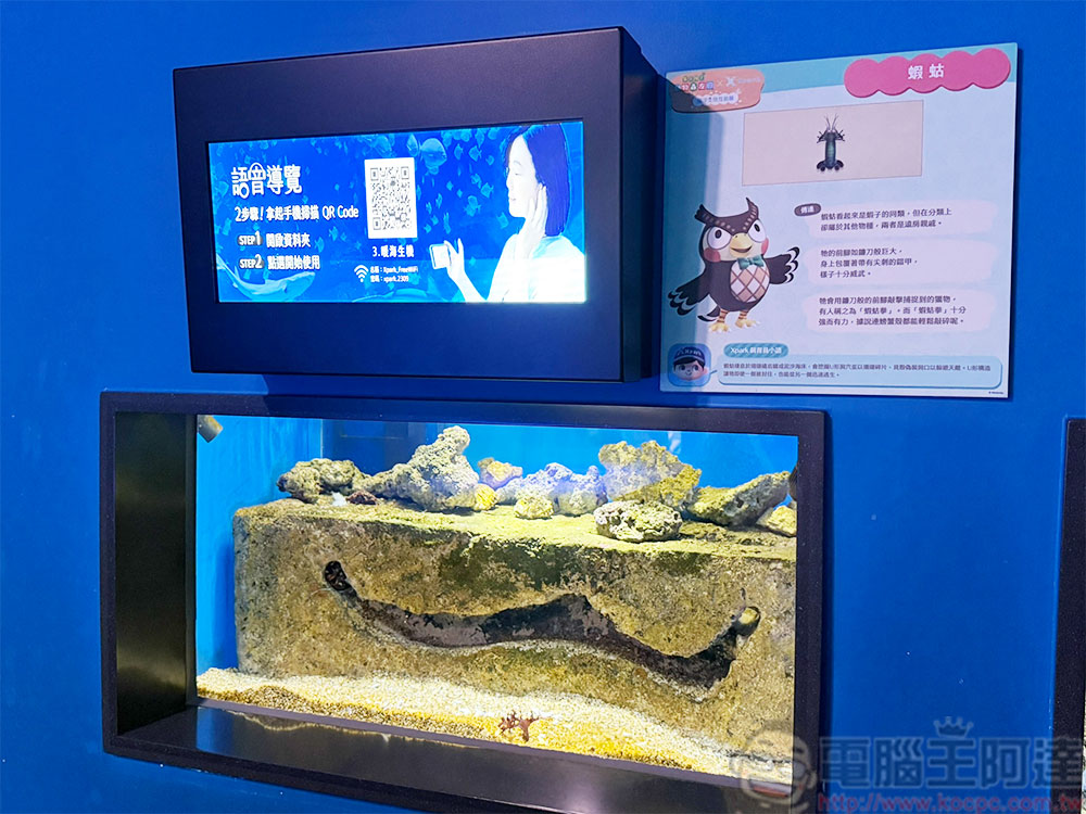 《集合啦!動物森友會》x Xpark 海洋生物互動展,原創周邊、人氣角色與探索任務一次登場 - 電腦王阿達 《集合啦!動物森友會》x Xpark 海洋生物互動展,原創周邊、人氣角色與探索任務一次登場 - 電腦王阿達