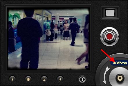 IMG_1365.jpg IMG_1365.jpg