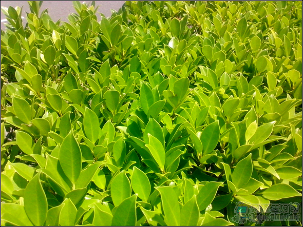 IMG_20120903_111711 IMG_20120903_111711