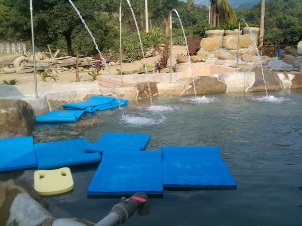 IMG_8064.jpg IMG_8064.jpg