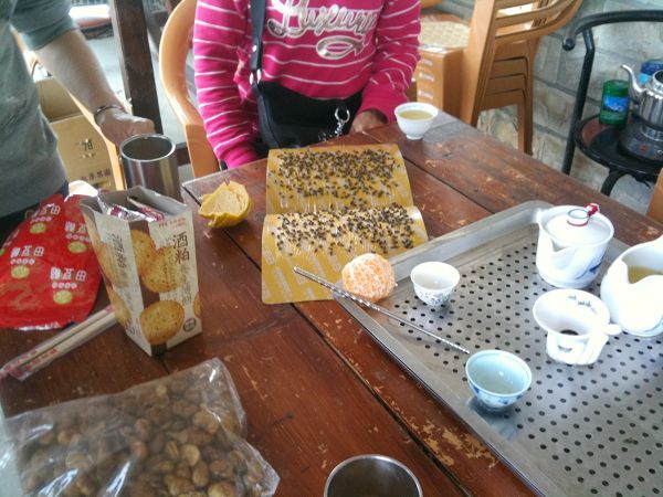 IMG_8061.jpg IMG_8061.jpg