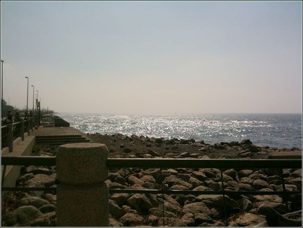 IMG_0078.jpg IMG_0078.jpg