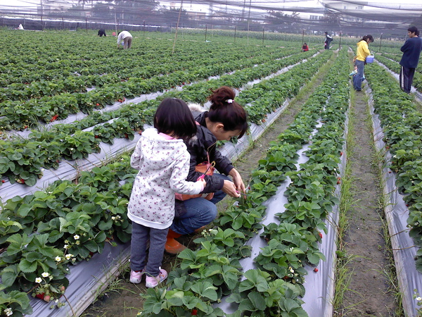 P210210_11.05.jpg P210210_11.05.jpg