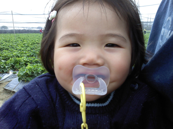 P210210_11.20.jpg P210210_11.20.jpg